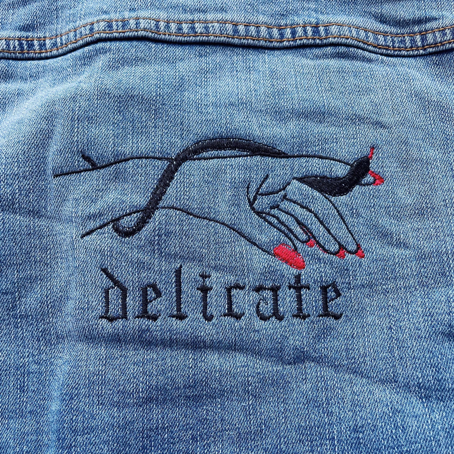 Taylor Inspired Delicate Goodfellow Embroidered Jean Jacket - Size Large