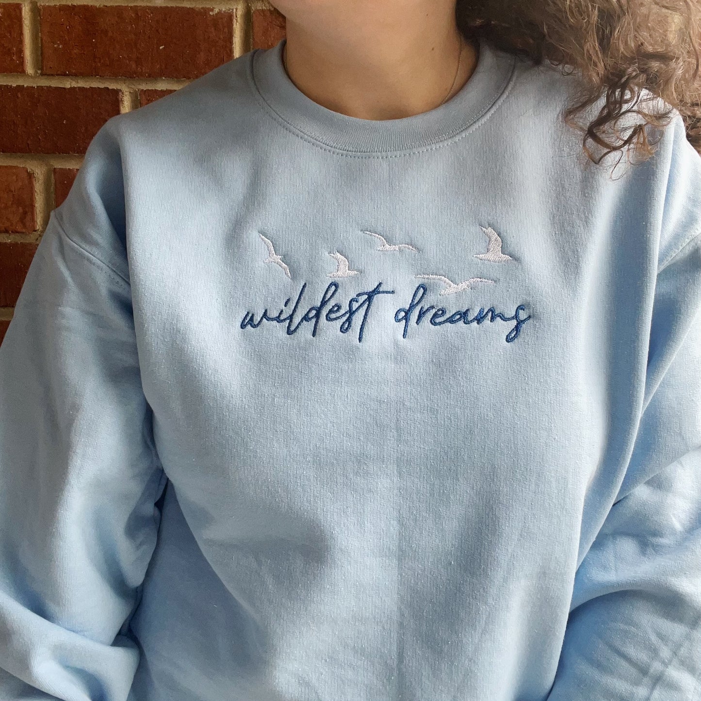 Wildest Dreams Taylor Inspired Embroidered Crewneck Sweatshirt