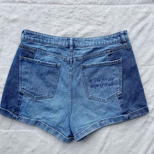 Taylor Inspired August Pacsun Embroidered Color Block Mom Jean Shorts - Size 30