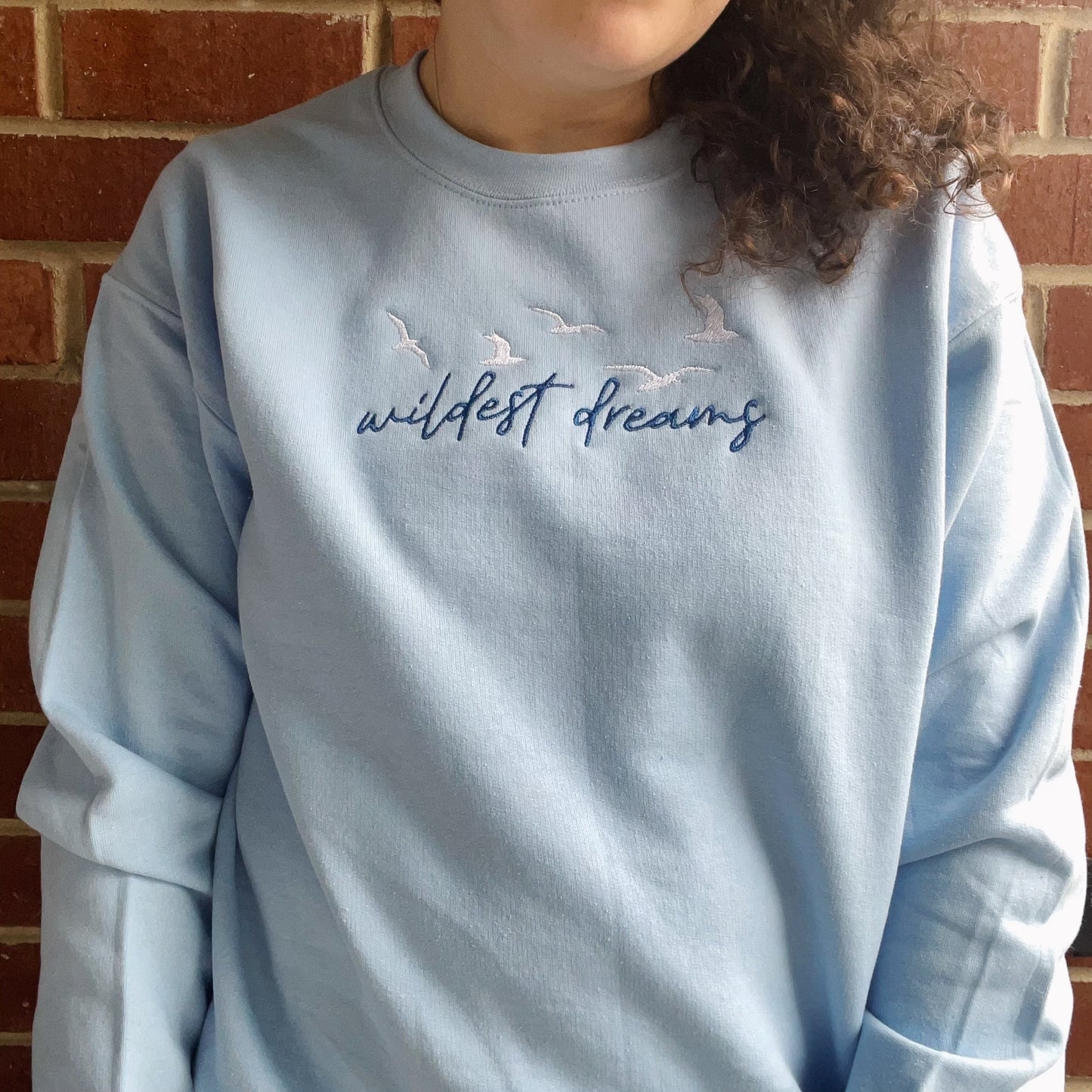 Wildest Dreams Taylor Inspired Embroidered Crewneck Sweatshirt