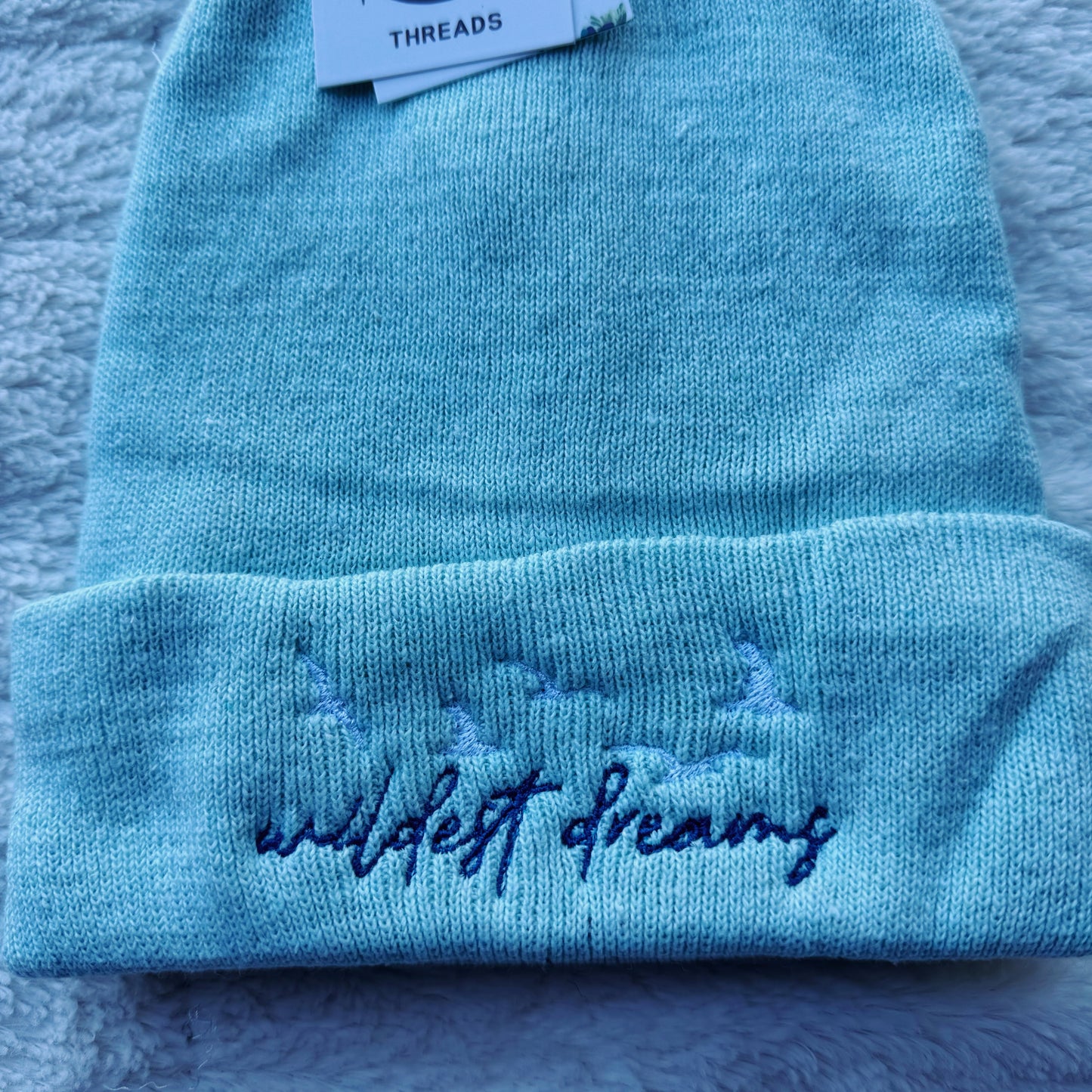 Wildest Dreams Taylor Inspired Embroidered Beanie