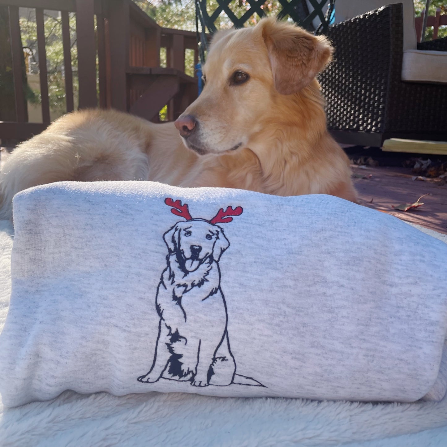 Holiday Pup Embroidered Crewneck Sweatshirt