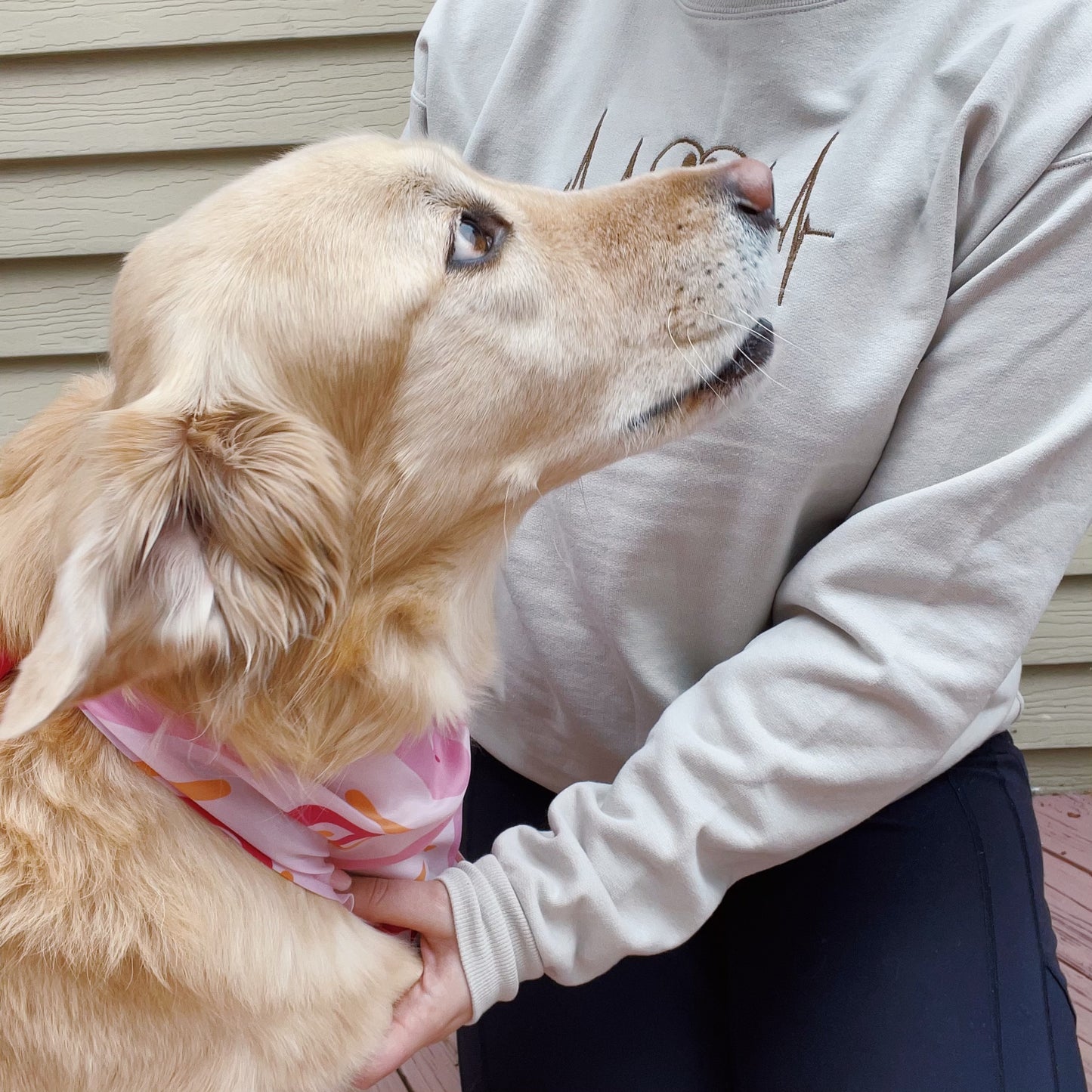 Dog Heartbeat Embroidered Crewneck Sweatshirt