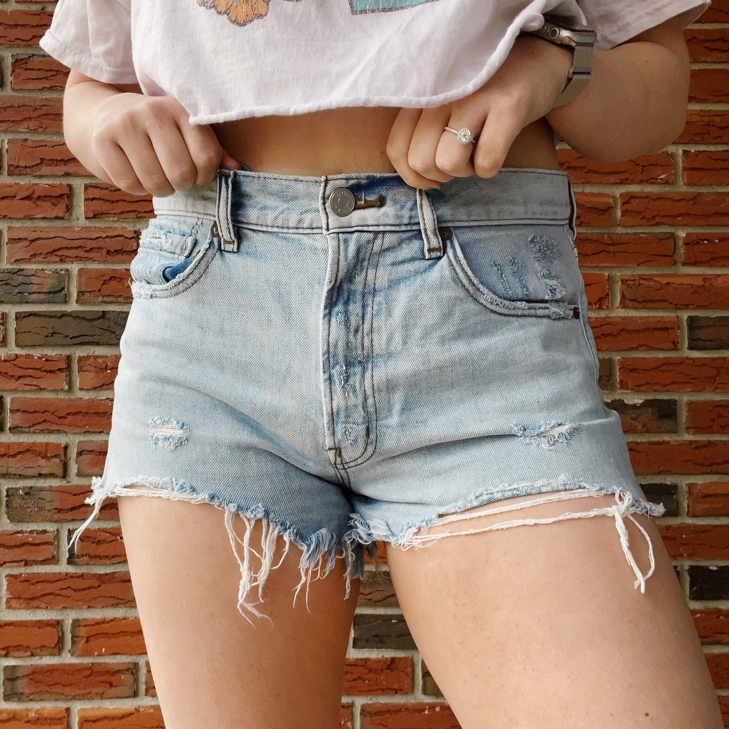 Potted Plants Urban Outfitters BDG Embroidered Jean Shorts - Size 8/10