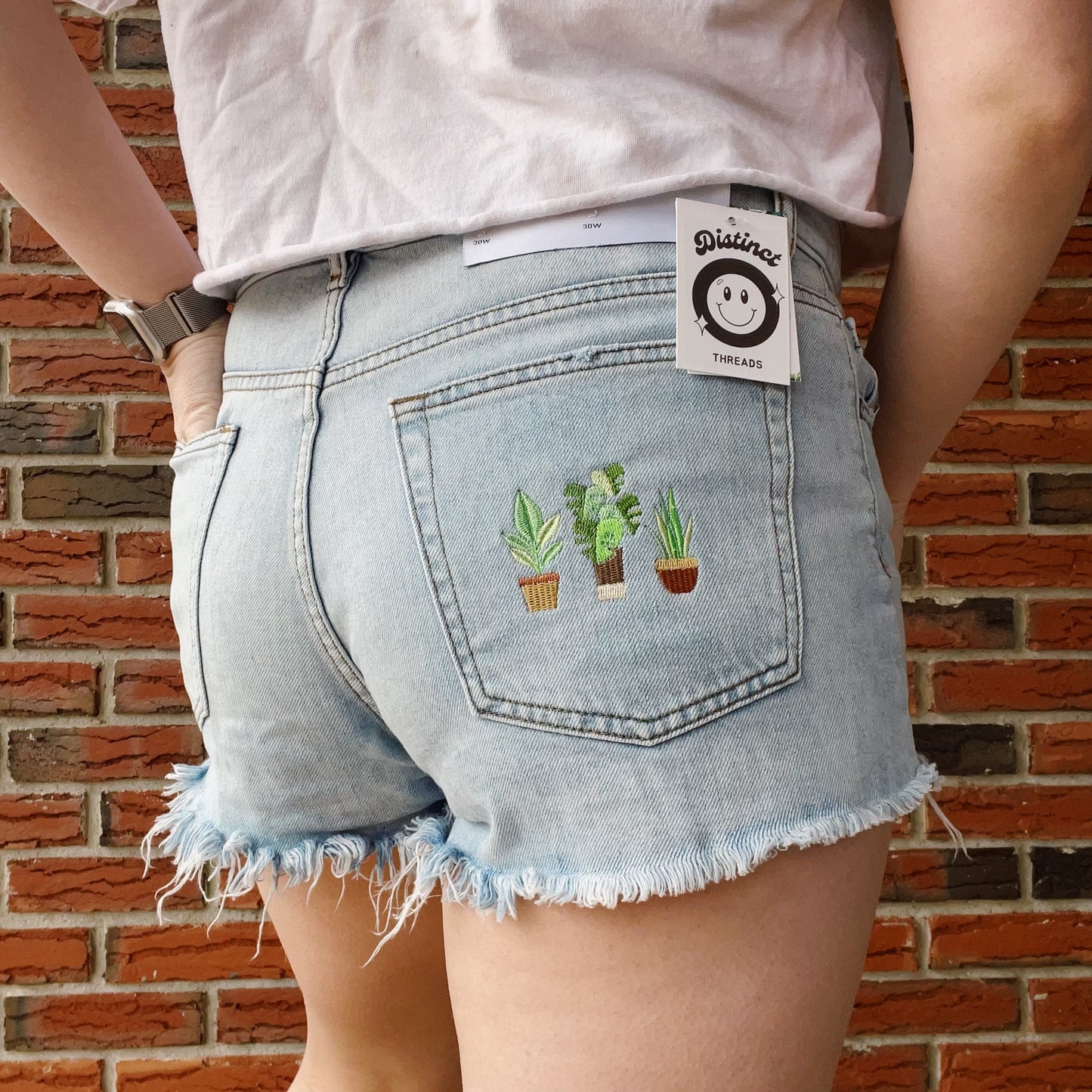 Potted Plants Urban Outfitters BDG Embroidered Jean Shorts - Size 8/10